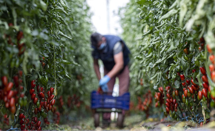 Lavoro nero e caporalato, giro d'affari 68 miliardi in Italia