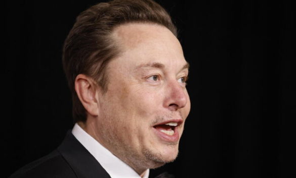 Musk contro l'Ue, 'le vostre norme sono disinformazione'