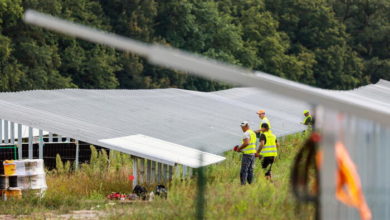 Confartigianato, mancano oltre 828mila lavoratori green