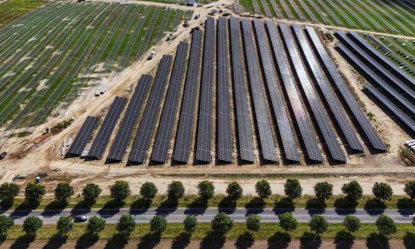 Bei, prestito da 166 milioni per 17 centrali fotovoltaiche