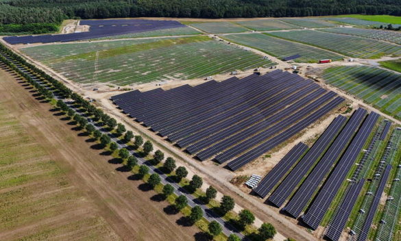 Alleanza per il fotovoltaico, 'non siamo contro il nucleare'